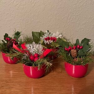 Four NEW Seasonal Arrangements in Deep Red Dishes